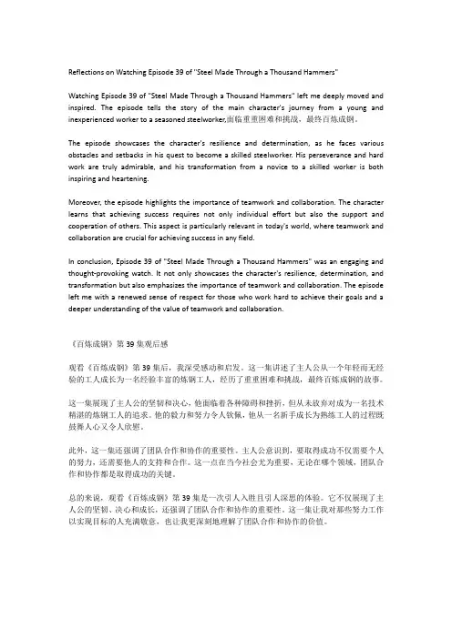 百炼成钢39集观后感