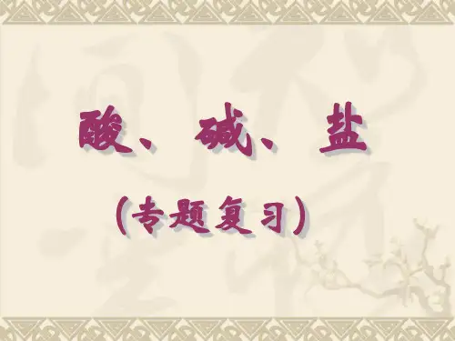 【初中化学】酸碱盐专题复习PPT课件3 人教版
