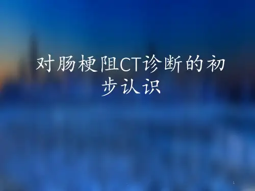 肠梗阻的CT诊断PPT课件