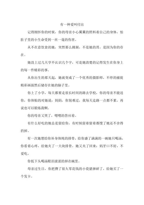 有一种爱叫付出-作文