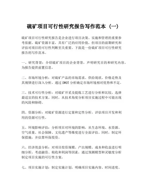 硫矿项目可行性研究报告写作范本 (一)