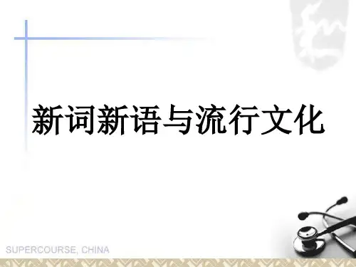 人教课标版高中语文必修1《新词新语与流行文化》公开课课件