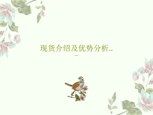 现货介绍及优势分析..21页PPT