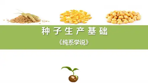 种子质量控制技术—纯系学说