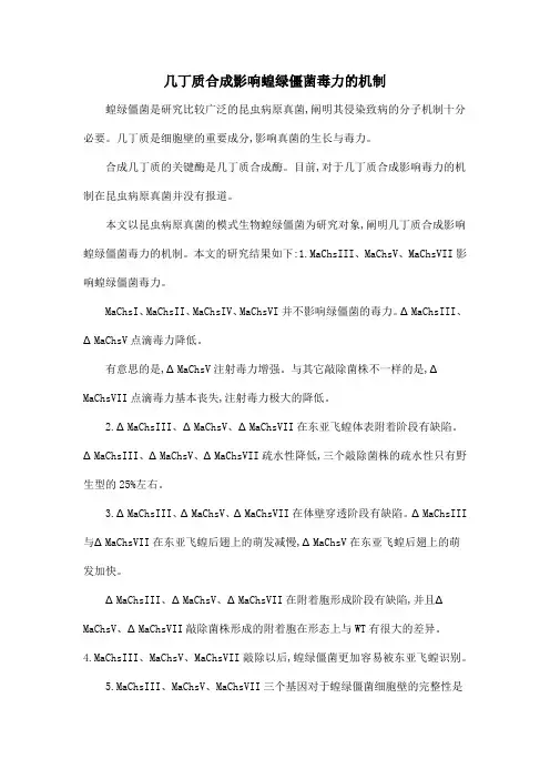 几丁质合成影响蝗绿僵菌毒力的机制