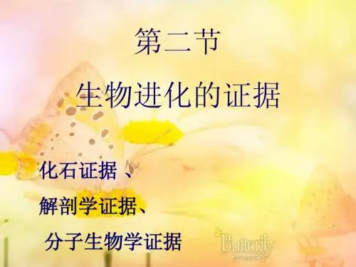 第二节生物进化的证据济南版