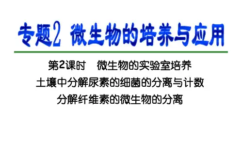 高三一轮复习选修1-专题2-微生物的培养与应用