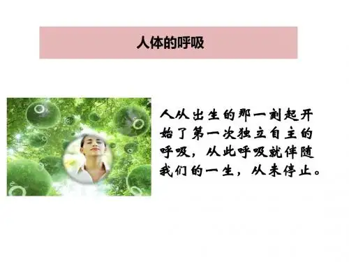 苏科版七上生物 3.7.2人体的呼吸 课件   (共19张PPT)
