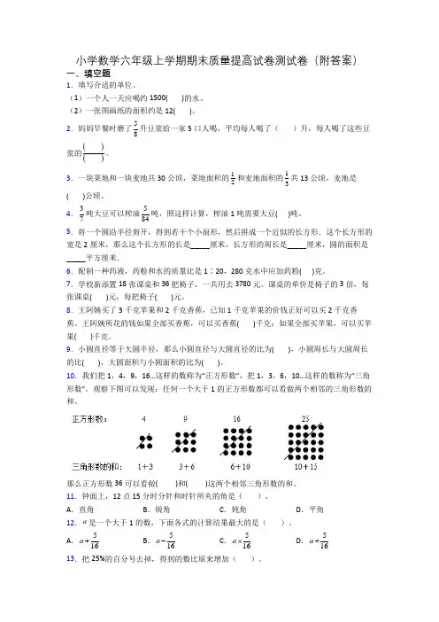 小学数学六年级上学期期末质量提高试卷测试卷(附答案)