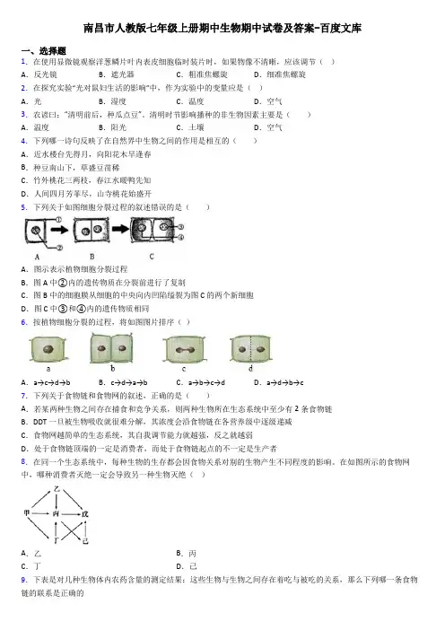 南昌市人教版七年级上册期中生物期中试卷及答案-百度文库