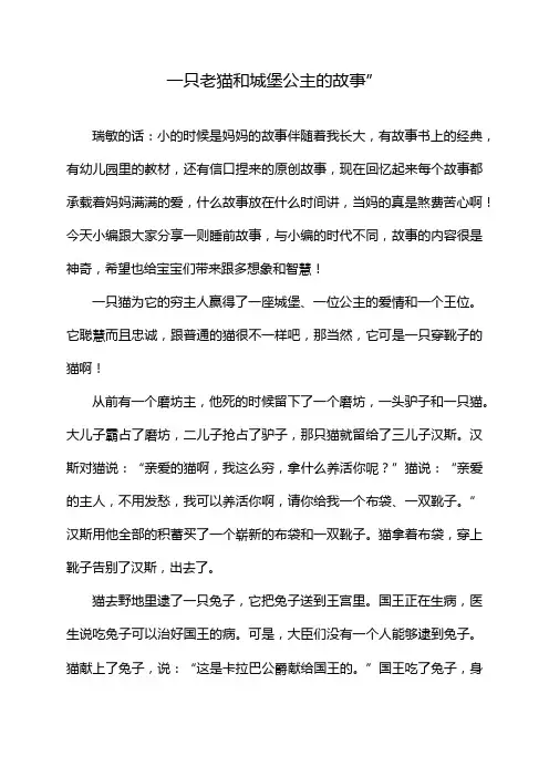 一只老猫和城堡公主的故事”