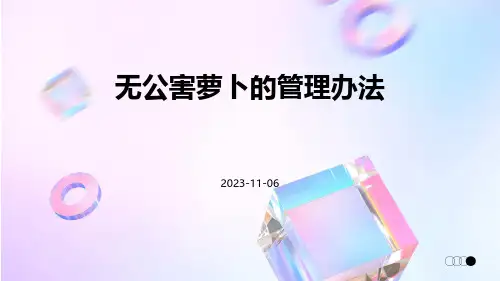 无公害萝卜的管理办法