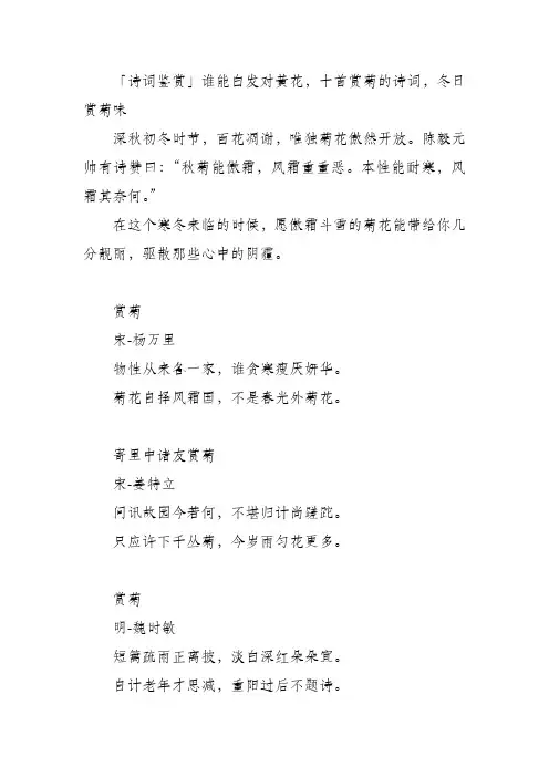 「诗词鉴赏」谁能白发对黄花,十首赏菊的诗词,冬日赏菊味