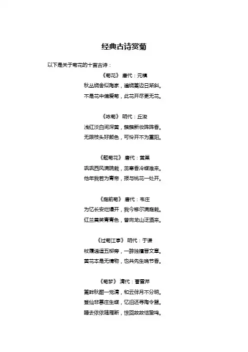 十首关于菊花的古诗