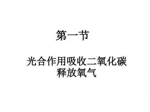 光合作用吸收二氧化碳释放氧气
