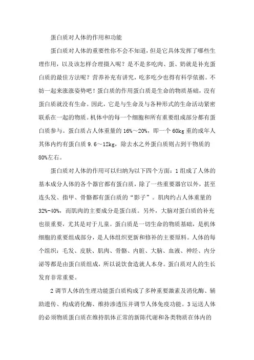 蛋白质对人体的作用和功能