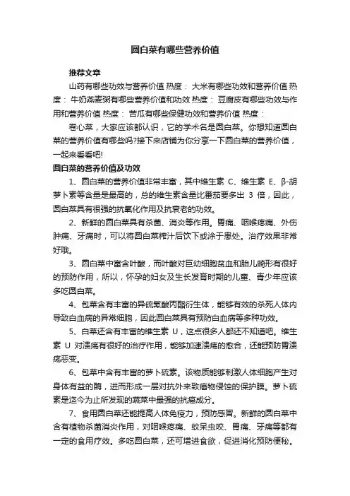 圆白菜有哪些营养价值