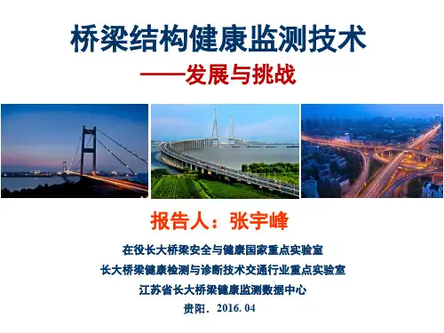 7.桥梁结构健康监测技术-发展与挑战——江苏省交通科学研究院股份有限公司 副总工程师 张宇峰
