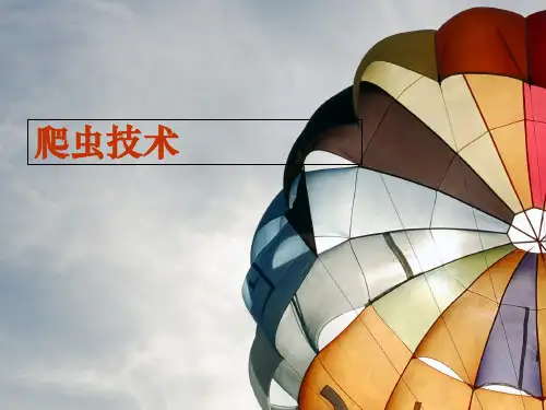 爬虫技术