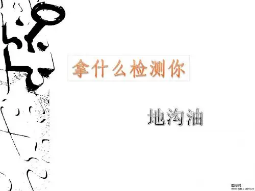 地沟油 (2)
