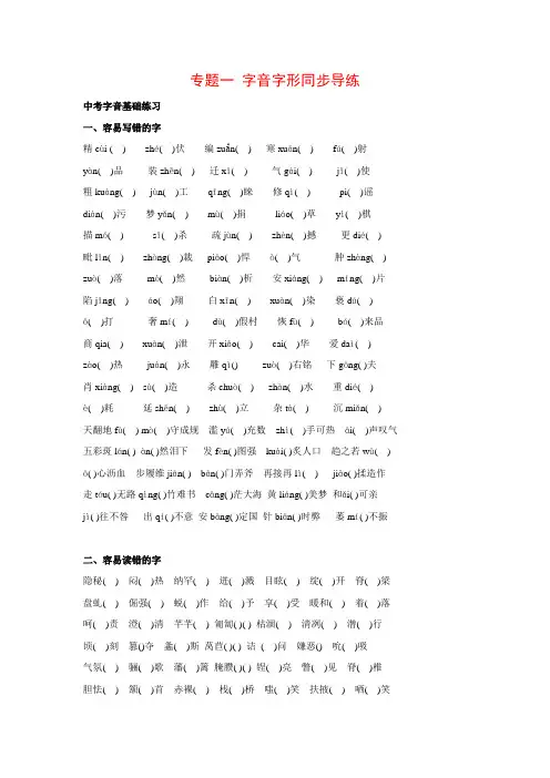 中考语文复习第一部分积累与运用专题一字音字形同步导练(含答案)