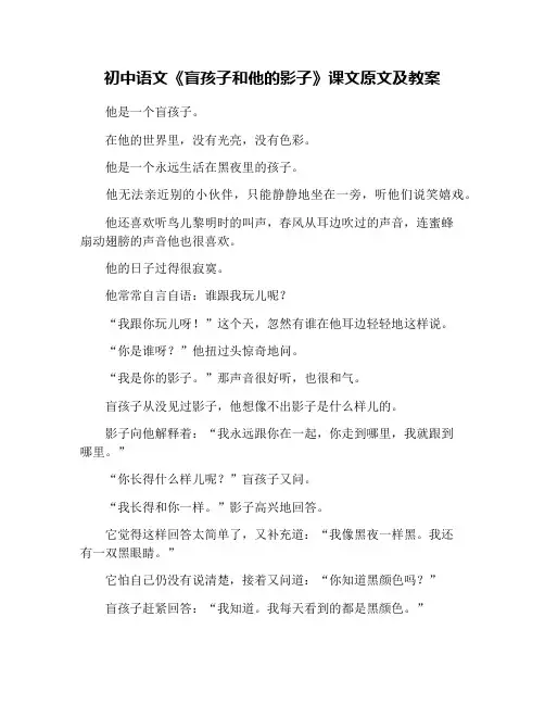 初中语文《盲孩子和他的影子》课文原文及教案
