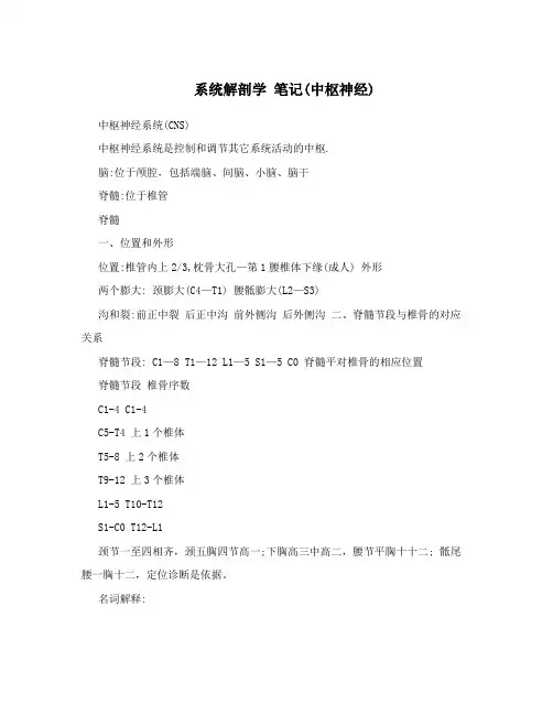 系统解剖学 笔记(中枢神经)