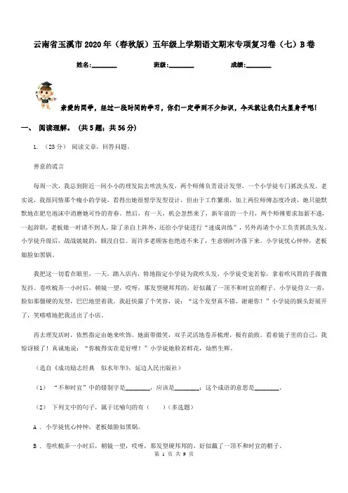 云南省玉溪市2020年(春秋版)五年级上学期语文期末专项复习卷(七)B卷