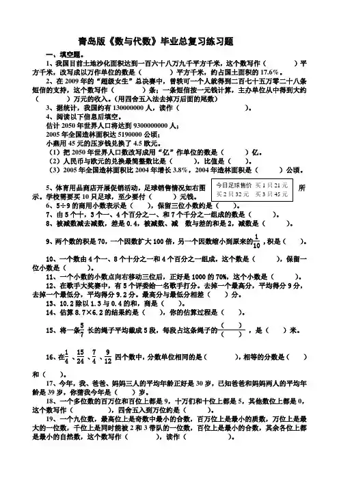 青岛版《数与代数》小学毕业总复习练习题练习及测验)