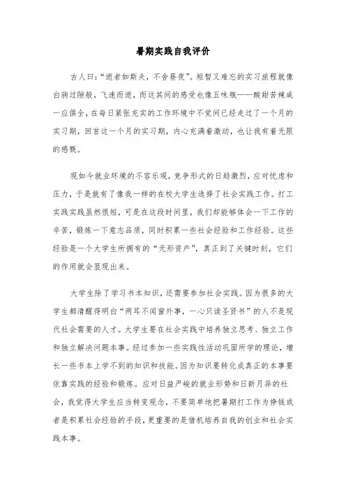 暑期实践自我评价（六篇）