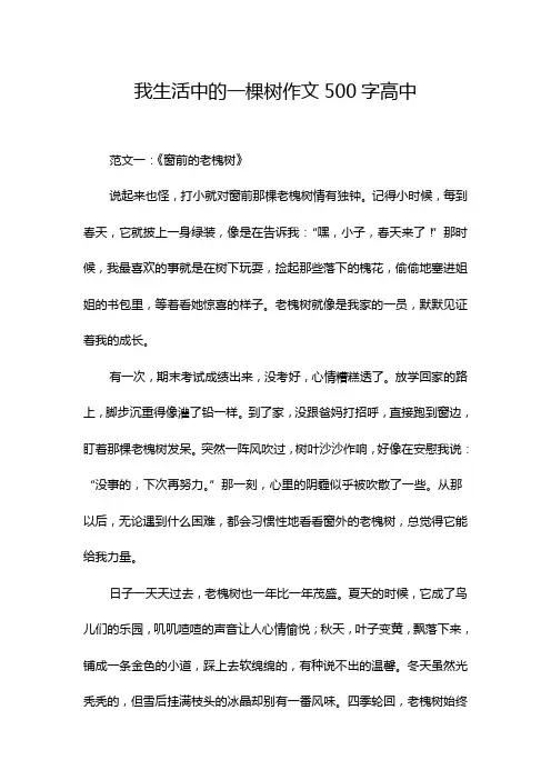 我生活中的一棵树作文500字高中