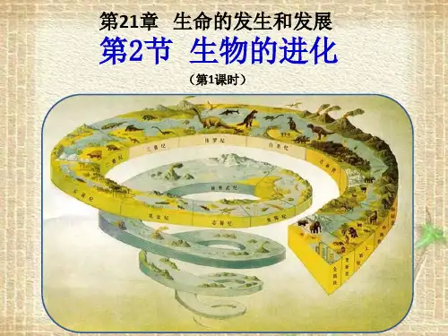 北师大版生物八年级下册21章2节生物的进化一课时精品课件