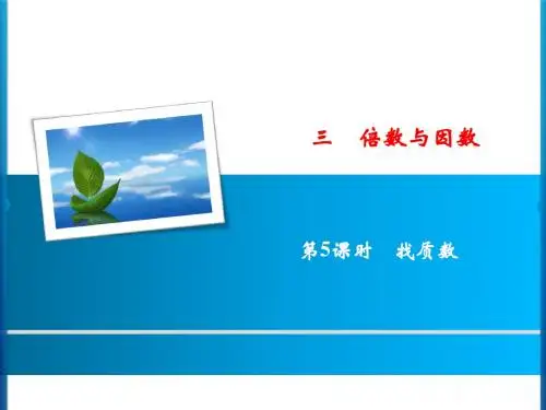 北师大版数学五年级上册3 第5课时 找质数