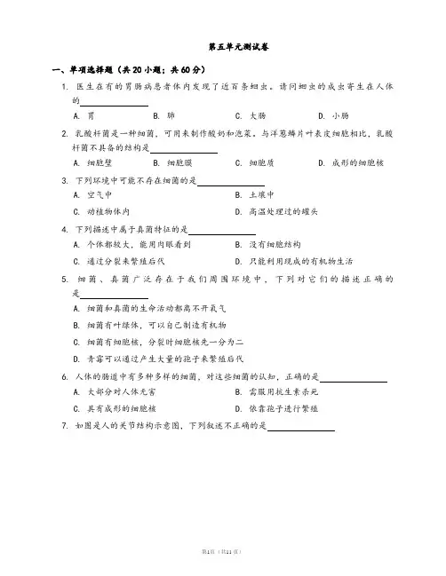 人教版八年级生物上册单元测试卷第五单元(word版,有答案)