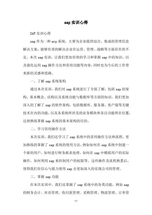 sap实训心得