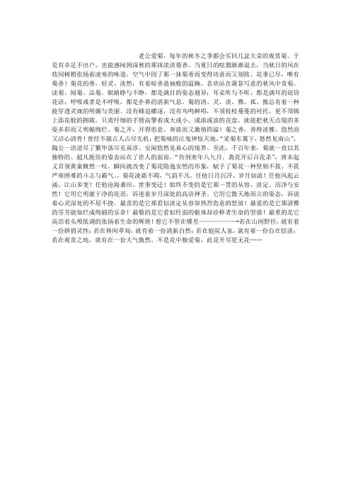 深秋的那抹菊花香