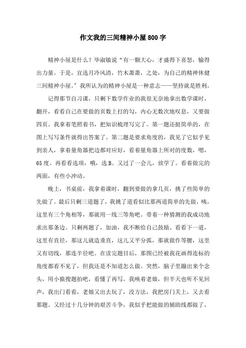 作文我的三间精神小屋800字精选