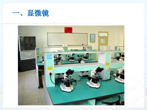 新人教版八年级物理上册5.5显微镜和望远镜(20张ppt)课件(共20张PPT)