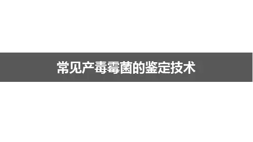 常见产毒霉菌的鉴定技术