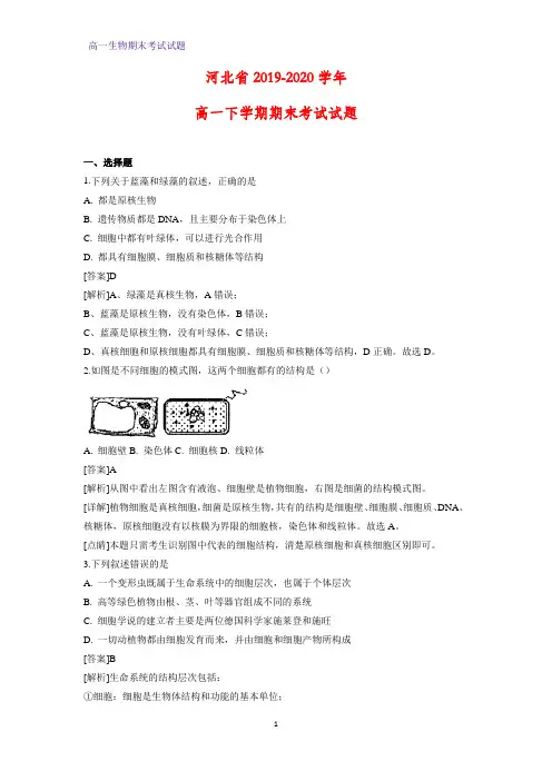 2019-2020学年河北省高一下学期期末考试生物试题(解析版)