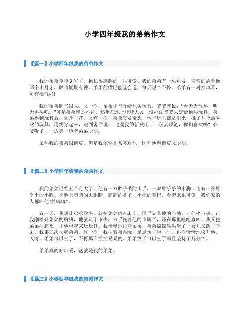 小学四年级我的弟弟作文
