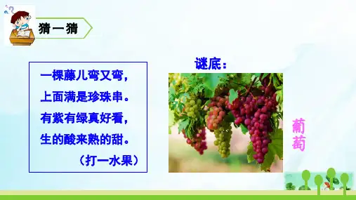 人教版部编本二年级上册葡萄沟公开课PPT课件