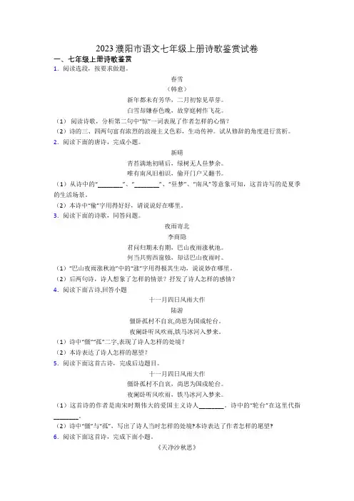 2023濮阳市语文七年级上册诗歌鉴赏试卷