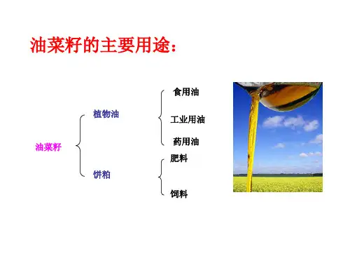 第二章菜油品质改良