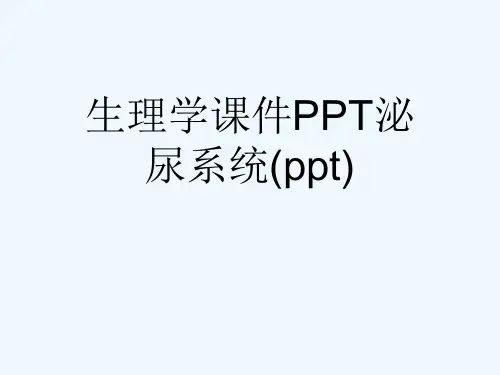 生理学课件PPT泌尿系统(ppt)