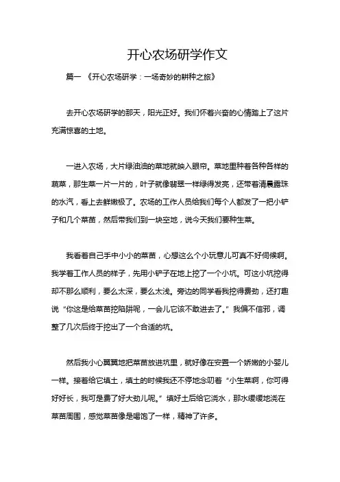 开心农场研学作文