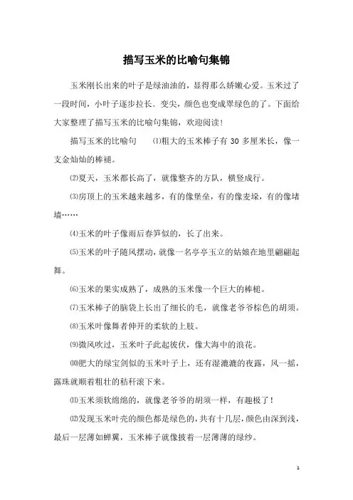 描写玉米的比喻句集锦