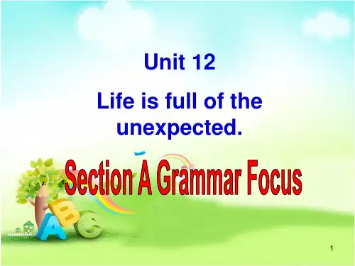 Unit12SectionA(GrammarFocus-4c)课件人教版英语九年级