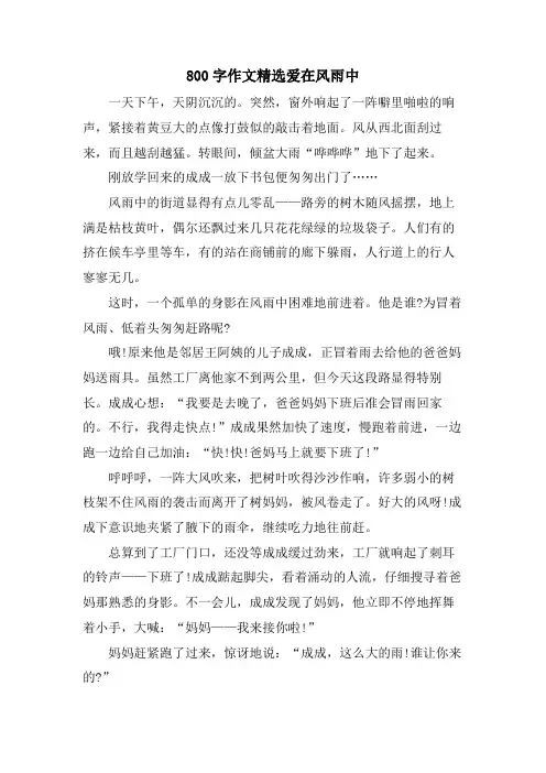 800字作文爱在风雨中