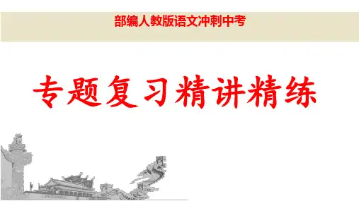 (名师整理)最新部编人教版语文冲刺中考《病句》专题复习精讲精练(含答案)